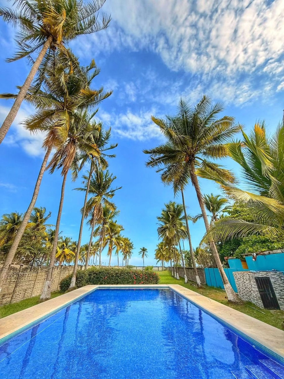 Piscina grande rodeada de palmeras